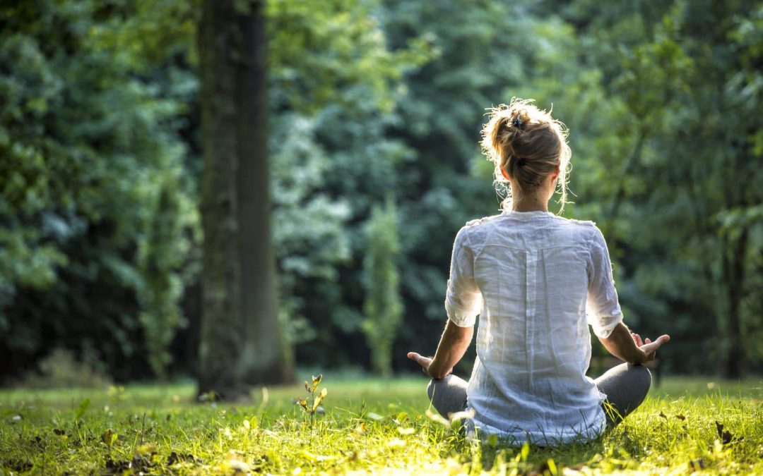 Mindfulness, Stoicism, and CBT: Three Paths Toward Emotional Resilience